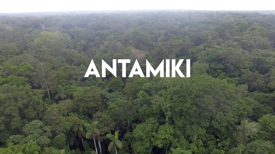 Antamiki, musicians travel to the Peruvian Amazon to confront illegal logging