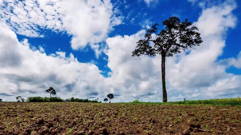 Beyond Fordlândia, Henry Ford's failed Amazon rubber colony and today's soy boom