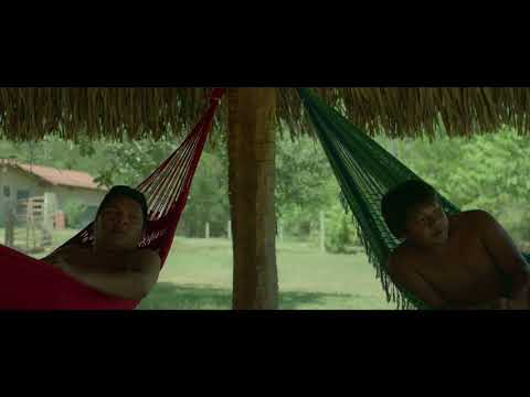Ex-Shaman, an Amazonian healer's life after his community's religious conversion
