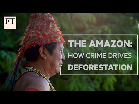 How Crime Drives Deforestation, an FT film on criminal networks behind Amazon logging