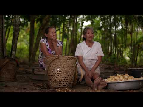 Nheengatu, a documentary on the Amazonian Indigenous general language