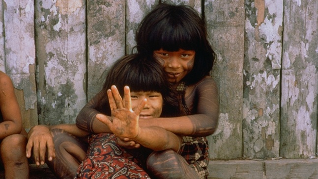 Return from Extinction, on a road's devastating impact on the Yanomami