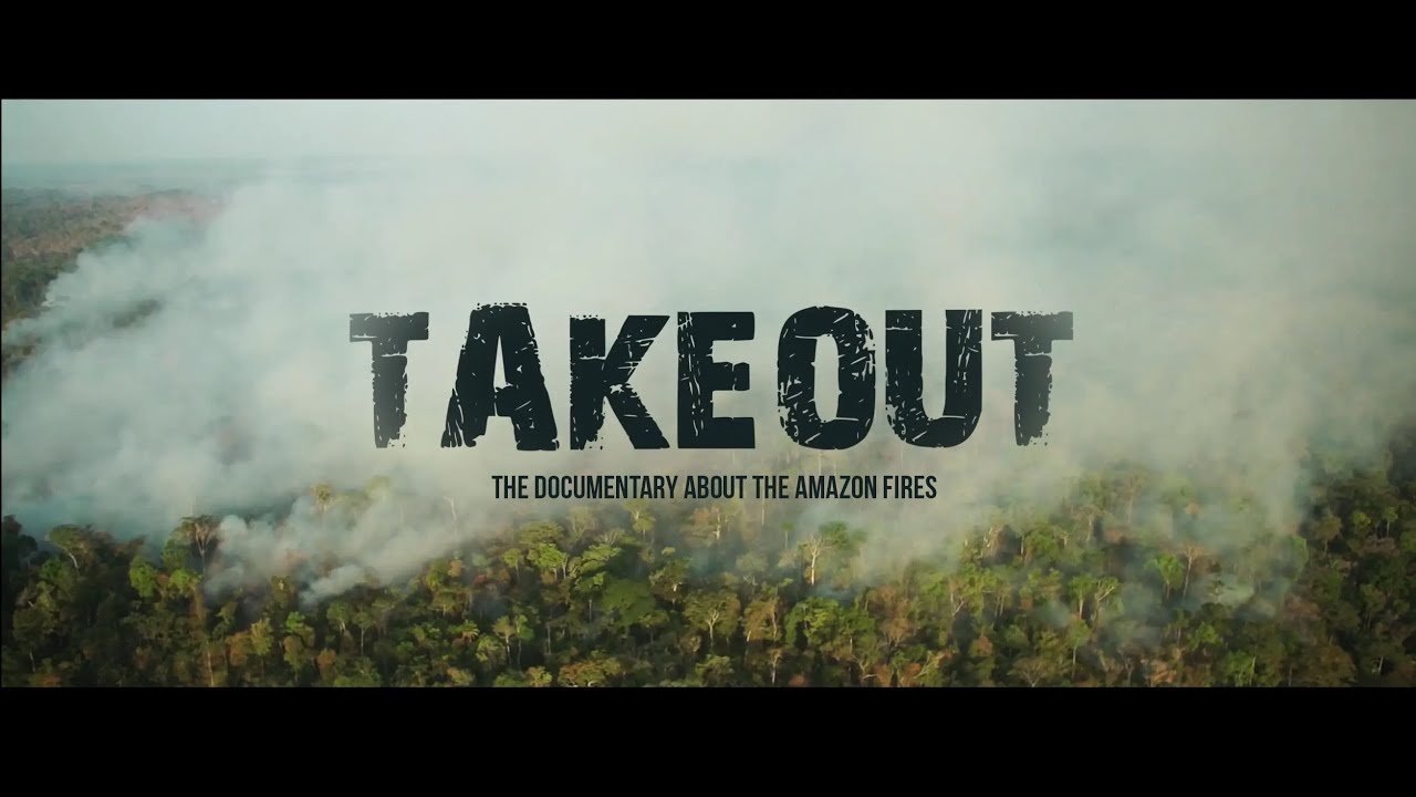 Takeout, linking Amazon forest fires to the global meat and agribusiness industry