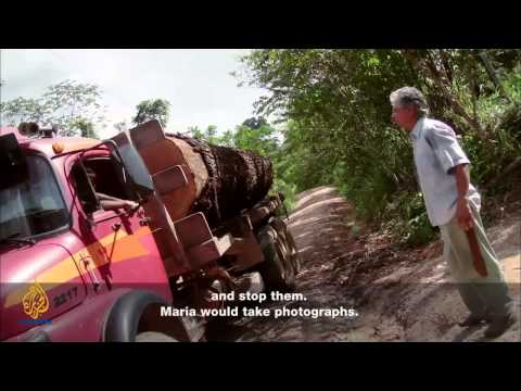 The Crying Forest, a documentary on the Amazon rainforest and its peoples