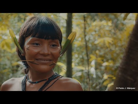 The Last Forest, on the Yanomami people and their threatened Amazon territory