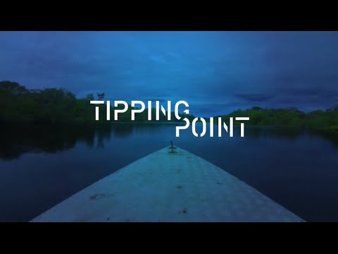 Tipping Point: The Amazon, on the rainforest nearing ecological collapse