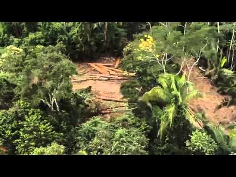 Toxic Amazon, a documentary on pollution and environmental harm in the Amazon